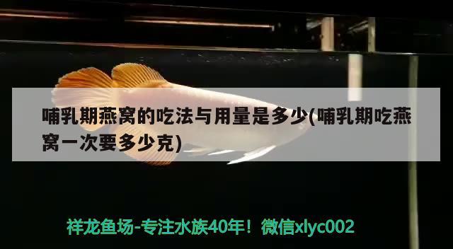 哺乳期燕窝的吃法与用量是多少(哺乳期吃燕窝一次要多少克) 马来西亚燕窝