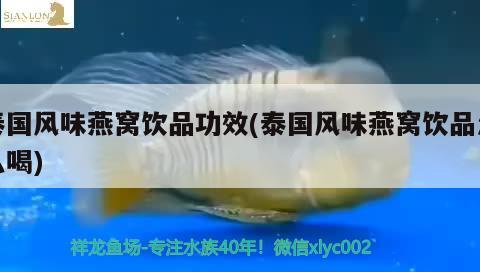 泰国风味燕窝饮品功效(泰国风味燕窝饮品怎么喝) 马来西亚燕窝 第4张