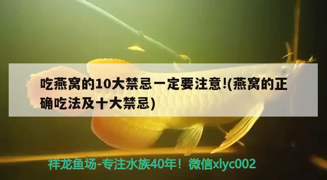 吃燕窝的10大禁忌一定要注意!(燕窝的正确吃法及十大禁忌)