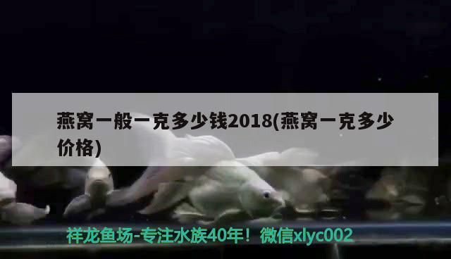 燕窝一般一克多少钱2018(燕窝一克多少价格) 马来西亚燕窝