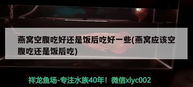 燕窝空腹吃好还是饭后吃好一些(燕窝应该空腹吃还是饭后吃) 马来西亚燕窝