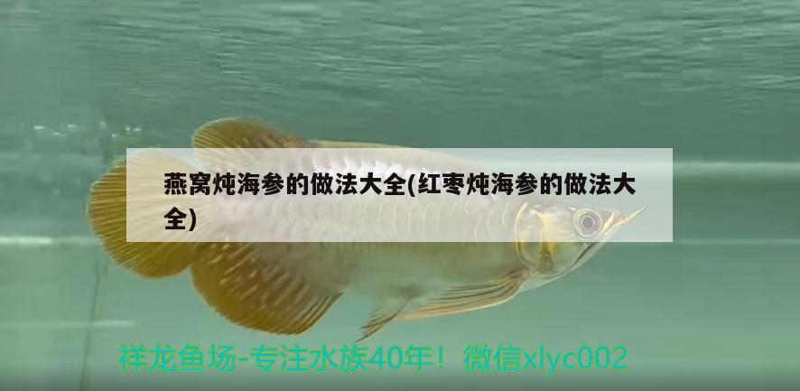 燕窝炖海参的做法大全(红枣炖海参的做法大全)