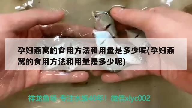 孕妇燕窝的食用方法和用量是多少呢(孕妇燕窝的食用方法和用量是多少呢)