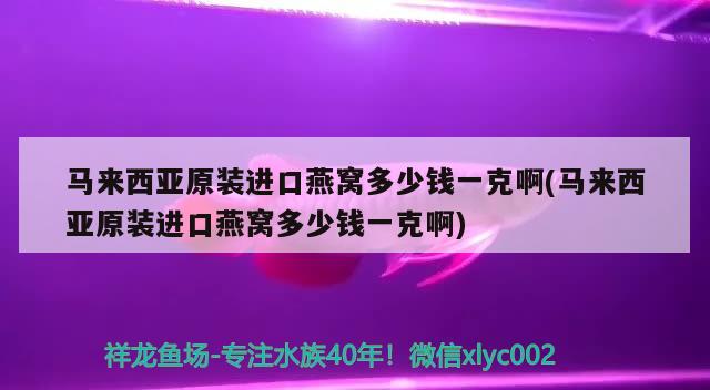 马来西亚原装进口燕窝多少钱一克啊(马来西亚原装进口燕窝多少钱一克啊)