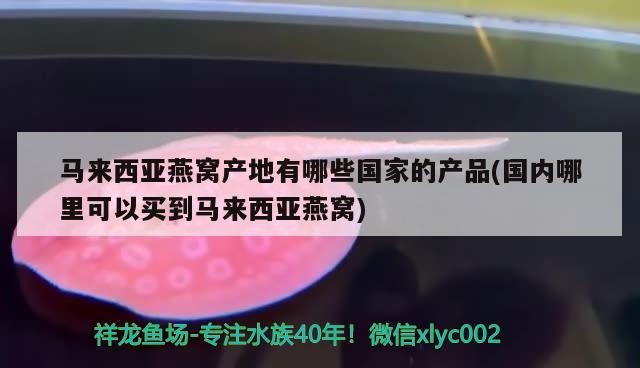 马来西亚燕窝产地有哪些国家的产品(国内哪里可以买到马来西亚燕窝) 马来西亚燕窝