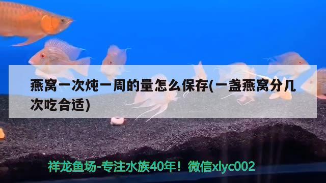 燕窝一次炖一周的量怎么保存(一盏燕窝分几次吃合适) 马来西亚燕窝