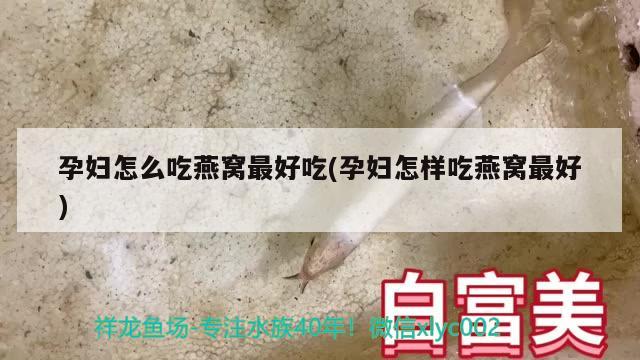 孕妇怎么吃燕窝最好吃(孕妇怎样吃燕窝最好)