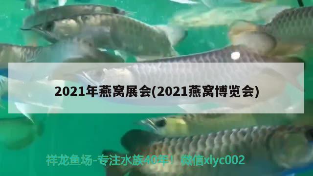 2021年燕窝展会(2021燕窝博览会)