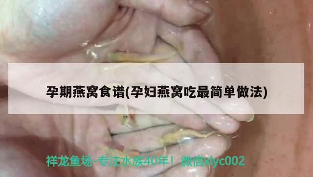 孕期燕窝食谱(孕妇燕窝吃最简单做法)