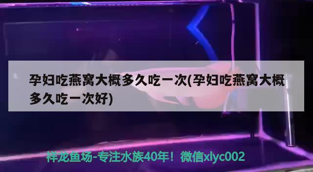 孕妇吃燕窝大概多久吃一次(孕妇吃燕窝大概多久吃一次好) 马来西亚燕窝