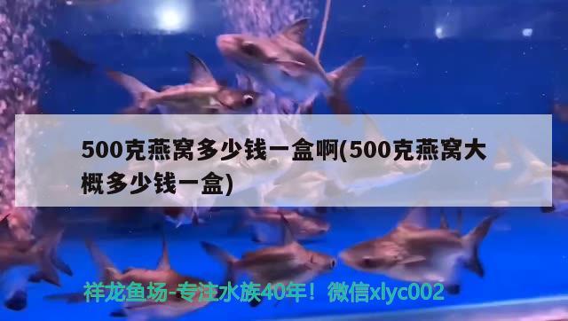 500克燕窝多少钱一盒啊(500克燕窝大概多少钱一盒) 马来西亚燕窝