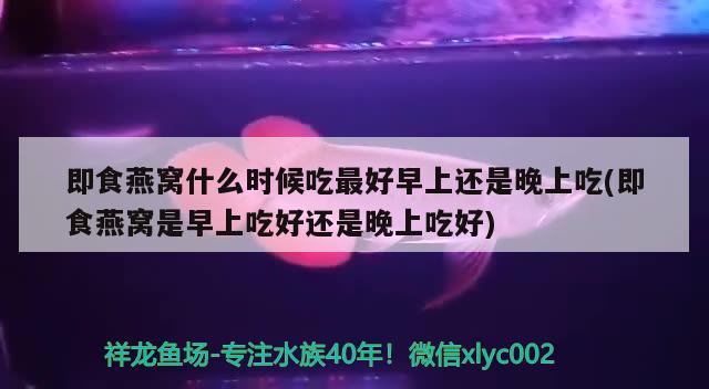 即食燕窝什么时候吃最好早上还是晚上吃(即食燕窝是早上吃好还是晚上吃好) 马来西亚燕窝