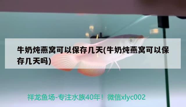 牛奶炖燕窝可以保存几天(牛奶炖燕窝可以保存几天吗) 马来西亚燕窝