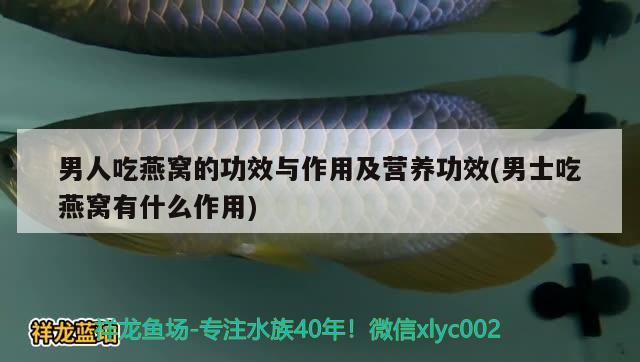 男人吃燕窝的功效与作用及营养功效(男士吃燕窝有什么作用) 马来西亚燕窝