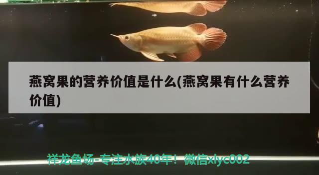 燕窝果的营养价值是什么(燕窝果有什么营养价值) 马来西亚燕窝