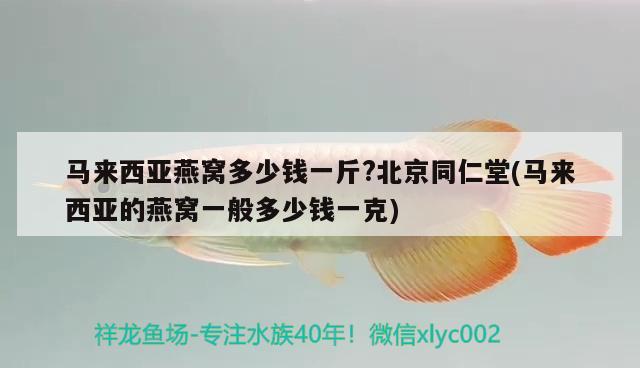 马来西亚燕窝多少钱一斤?北京同仁堂(马来西亚的燕窝一般多少钱一克) 马来西亚燕窝