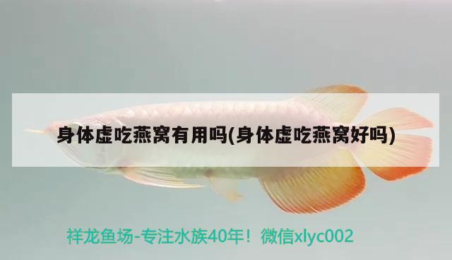 身体虚吃燕窝有用吗(身体虚吃燕窝好吗)