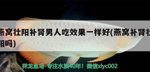 燕窝壮阳补肾男人吃效果一样好(燕窝补肾壮阳吗) 马来西亚燕窝 第1张