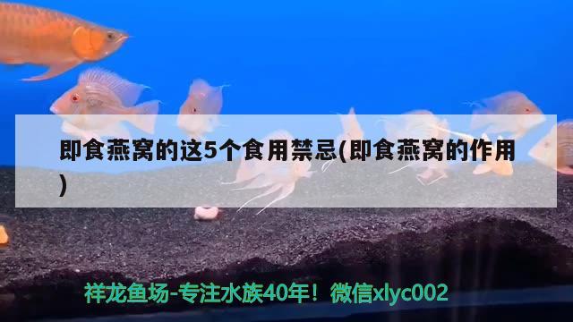 即食燕窝的这5个食用禁忌(即食燕窝的作用)