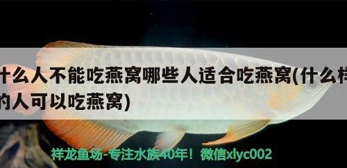 什么人不能吃燕窝哪些人适合吃燕窝(什么样的人可以吃燕窝) 马来西亚燕窝