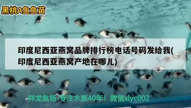 印度尼西亚燕窝品牌排行榜电话号码发给我(印度尼西亚燕窝产地在哪儿) 马来西亚燕窝