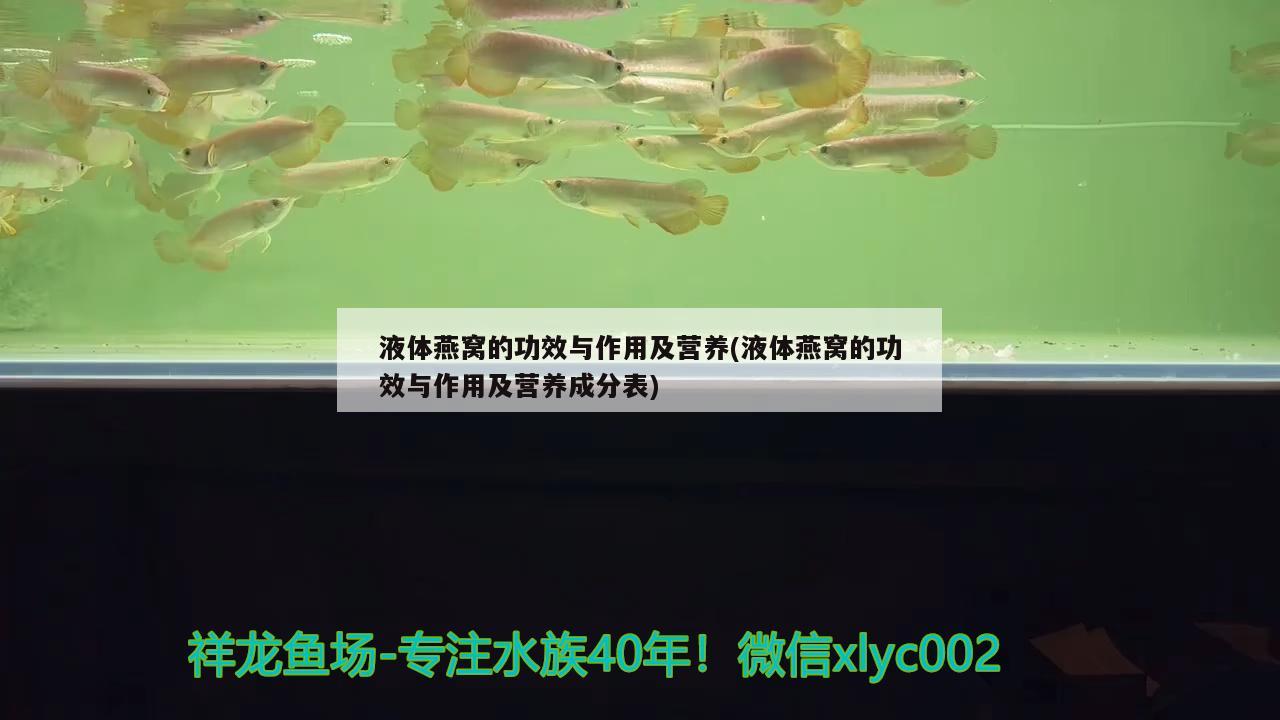 液体燕窝的功效与作用及营养(液体燕窝的功效与作用及营养成分表) 马来西亚燕窝