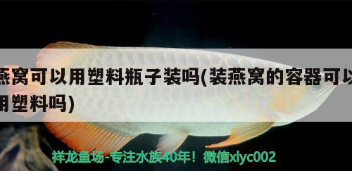 燕窝可以用塑料瓶子装吗(装燕窝的容器可以用塑料吗) 马来西亚燕窝