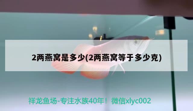 2两燕窝是多少(2两燕窝等于多少克) 马来西亚燕窝