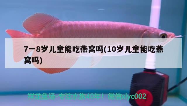 7一8岁儿童能吃燕窝吗(10岁儿童能吃燕窝吗)