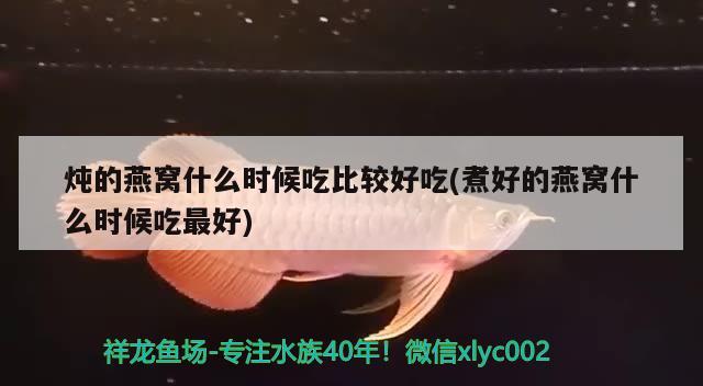 炖的燕窝什么时候吃比较好吃(煮好的燕窝什么时候吃最好) 马来西亚燕窝 第2张