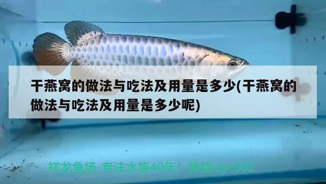 干燕窝的做法与吃法及用量是多少(干燕窝的做法与吃法及用量是多少呢) 马来西亚燕窝