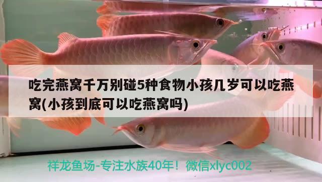 吃完燕窝千万别碰5种食物小孩几岁可以吃燕窝(小孩到底可以吃燕窝吗)