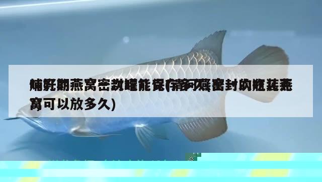 炖好的燕窝密封罐能保存多久(密封的瓶装燕窝可以放多久) 马来西亚燕窝