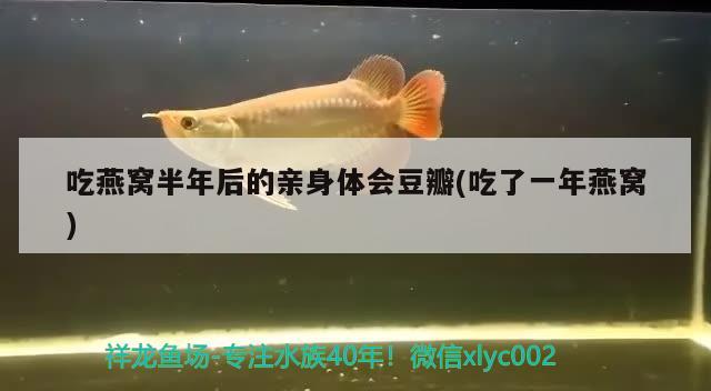 吃燕窝半年后的亲身体会豆瓣(吃了一年燕窝)