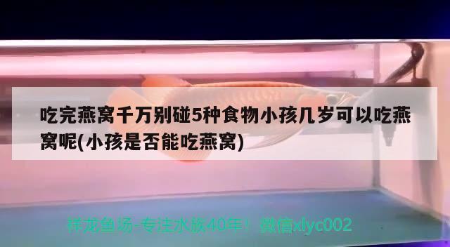 吃完燕窝千万别碰5种食物小孩几岁可以吃燕窝呢(小孩是否能吃燕窝)