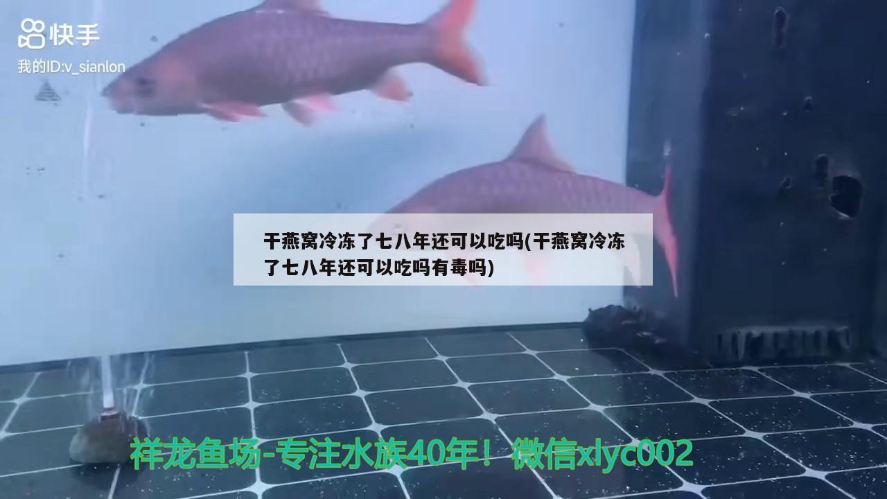 干燕窝冷冻了七八年还可以吃吗(干燕窝冷冻了七八年还可以吃吗有毒吗) 马来西亚燕窝