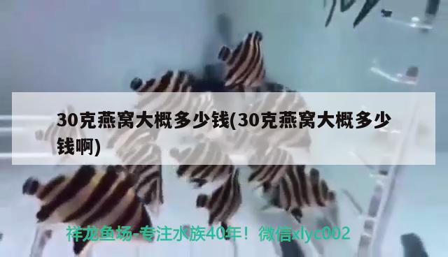 30克燕窝大概多少钱(30克燕窝大概多少钱啊) 马来西亚燕窝