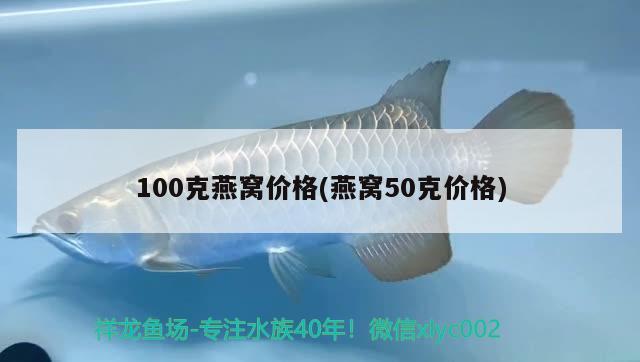 100克燕窝价格(燕窝50克价格)