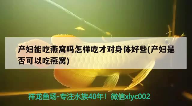 产妇能吃燕窝吗怎样吃才对身体好些(产妇是否可以吃燕窝) 马来西亚燕窝