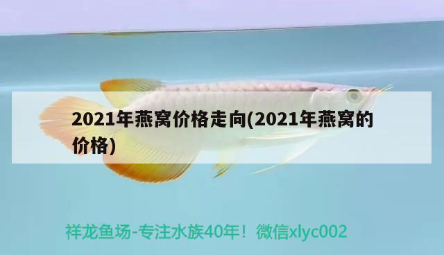 2021年燕窝价格走向(2021年燕窝的价格)