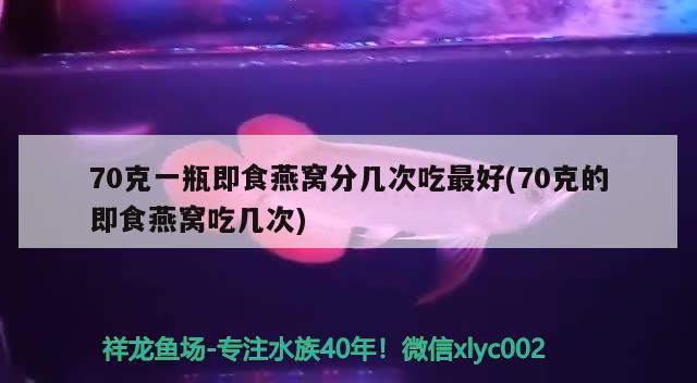 70克一瓶即食燕窝分几次吃最好(70克的即食燕窝吃几次)