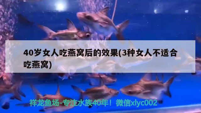 40岁女人吃燕窝后的效果(3种女人不适合吃燕窝) 马来西亚燕窝