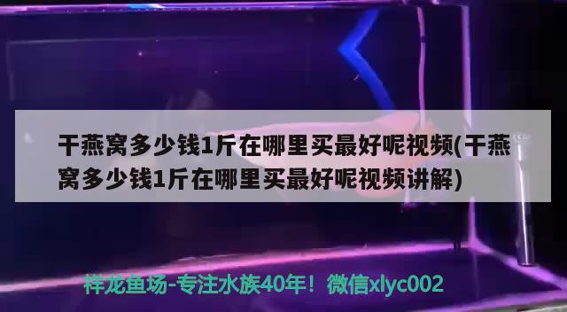 干燕窝多少钱1斤在哪里买最好呢视频(干燕窝多少钱1斤在哪里买最好呢视频讲解) 马来西亚燕窝