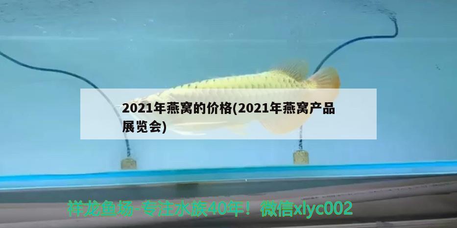 2021年燕窝的价格(2021年燕窝产品展览会)