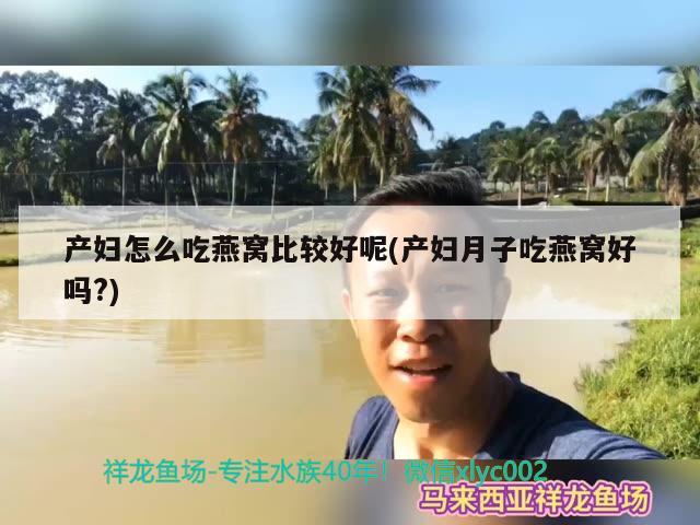 产妇怎么吃燕窝比较好呢(产妇月子吃燕窝好吗?)