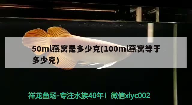 50ml燕窝是多少克(100ml燕窝等于多少克)