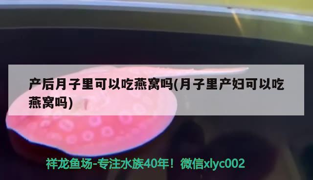 产后月子里可以吃燕窝吗(月子里产妇可以吃燕窝吗) 马来西亚燕窝