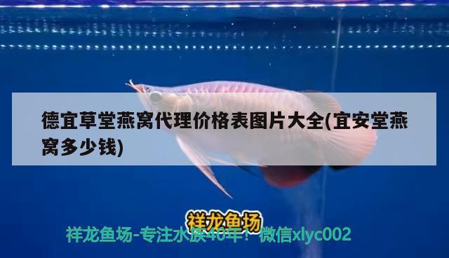 德宜草堂燕窝代理价格表图片大全(宜安堂燕窝多少钱) 马来西亚燕窝