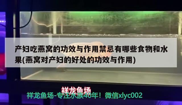 产妇吃燕窝的功效与作用禁忌有哪些食物和水果(燕窝对产妇的好处的功效与作用)