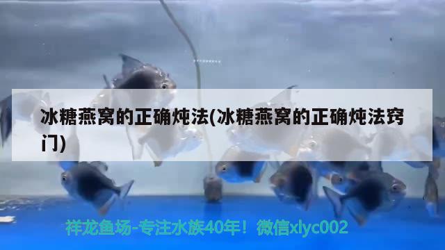 冰糖燕窝的正确炖法(冰糖燕窝的正确炖法窍门) 马来西亚燕窝